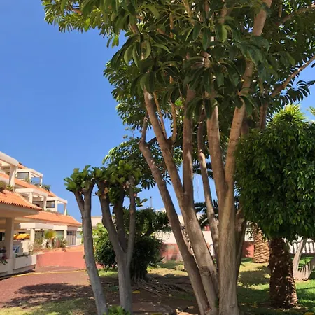 Bahia Playa